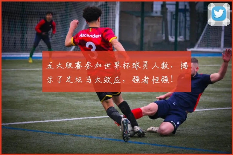 五大联赛参加世界杯球员人数，揭示了足坛马太效应，强者恒强！
